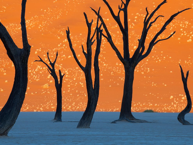 Illustration for article titled This Is Not a Painting
